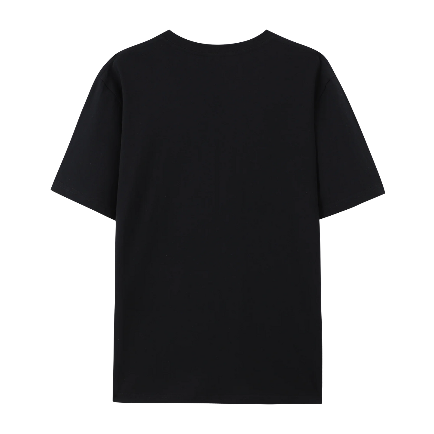 Fullmetal Anime Alchemist Edward & Alphonse Graphic Cotton T-Shirt, Japanese Anime Unisex Short Sleeve Crewneck Shirt
